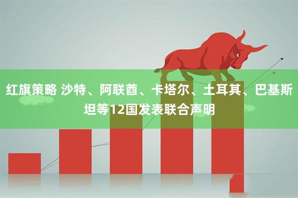 红旗策略 沙特、阿联酋、卡塔尔、土耳其、巴基斯坦等12国发表联合声明