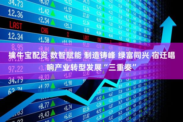 擒牛宝配资 数智赋能 制造铸峰 绿富同兴 宿迁唱响产业转型发展“三重奏”